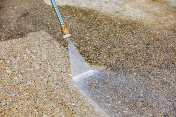 Best Roof Washing  in New Eagle, PA